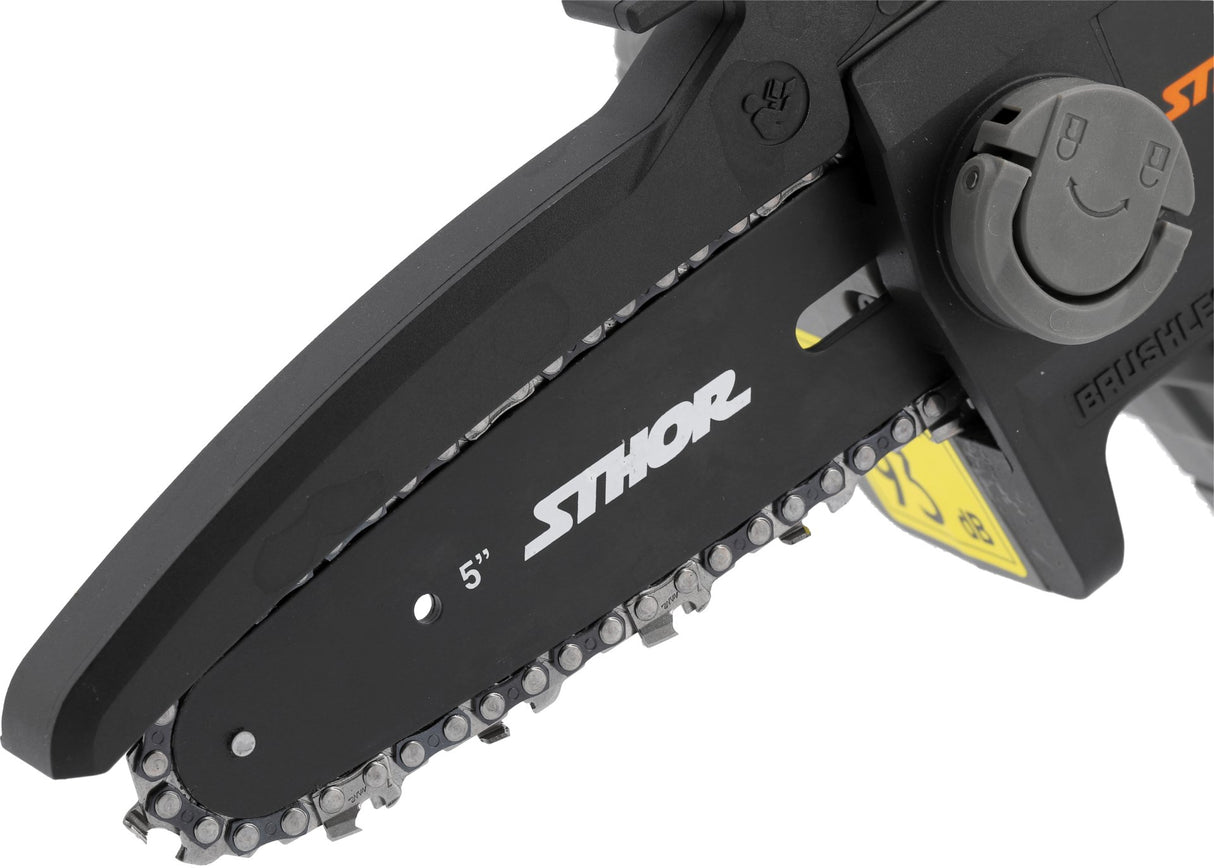 Mini tronçonneuse 20 V 2 Ah avec chargeur