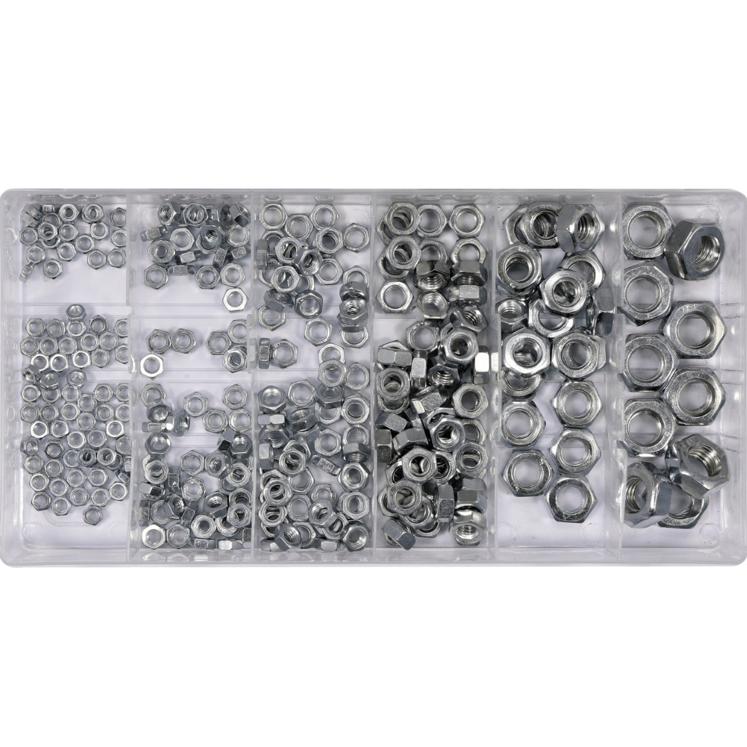 Set 300 dadi metrici assortiti – M3 a M10, organizer con scomparti