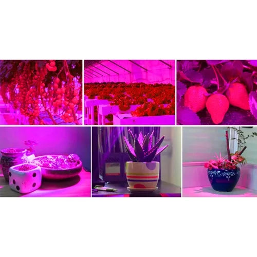 Pannello LED per la crescita delle piante 225 LED (165 rossi + 60 blu) 36W – con funi di sospensione