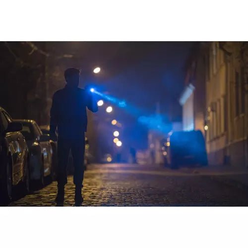 Lampe de poche 2 en 1 XPE UV Trizand 21634