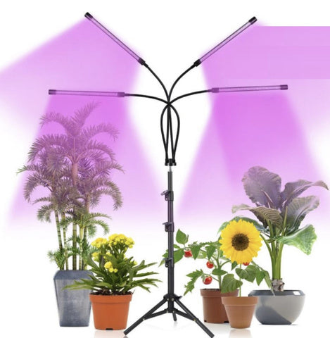 Set 4 lampade LED per la crescita delle piante Gardlov 19388 – 80 LED, timer, dimmer 10 livelli, piantana regolabile 73–153 cm, IP54