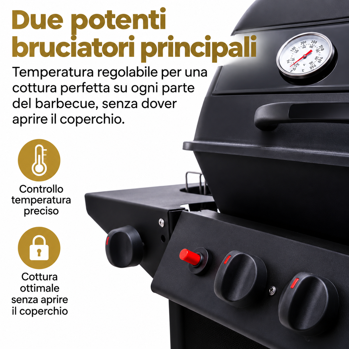 Barbecue a Gas Alora 2 Bruciatori Inox Fornello Laterale Termometro Ruote