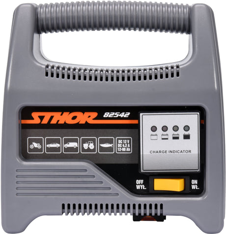 Caricabatterie 12V 6A con Indicatore LED per Batterie Fino a 90Ah Sthor
