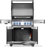 Barbecue Napoleon Rogue PRO-S 525 RSIB Compatto Nero
