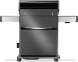 Barbecue Napoleon Rogue PRO-S 525 RSIB Compatto Nero