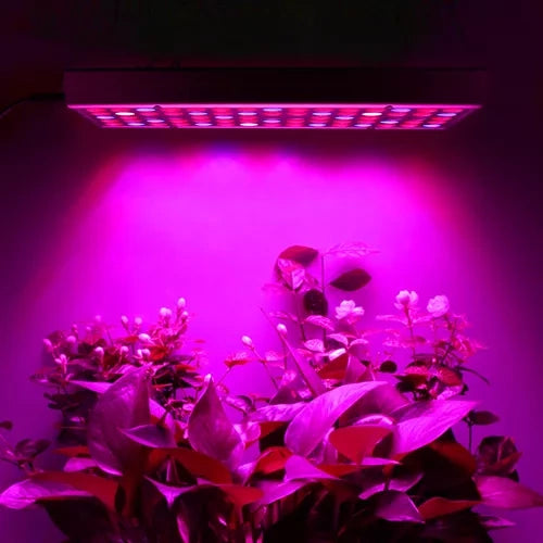 Pannello LED per la crescita delle piante 225 LED (165 rossi + 60 blu) 36W – con funi di sospensione