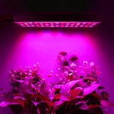 Pannello LED per la crescita delle piante 225 LED (165 rossi + 60 blu) 36W – con funi di sospensione