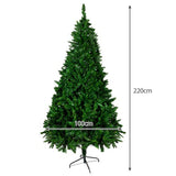 Albero di Natale altezza metri 2.20