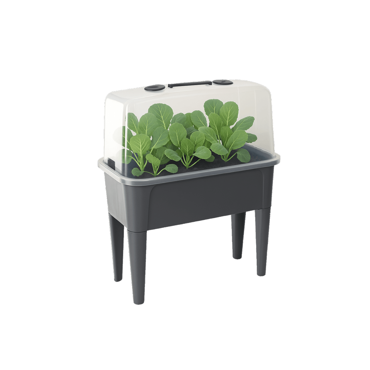 Mini Serra con Coperchio 76x38x83 cm – Mini Serra da Coltivazione