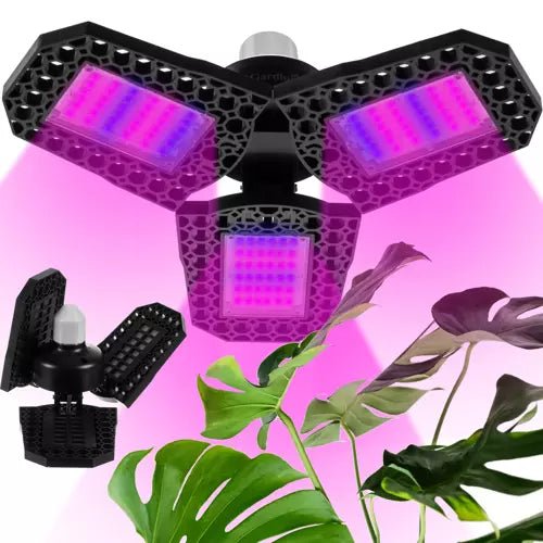 Kit Luce LED Da 3W Per Piante Da Interno – Con Portalampada Rotante, Regolabile, Per Succulente E Bonsai