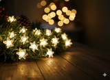 Catena Luminosa LED Fiocchi di Neve 20 Luci a Batteria