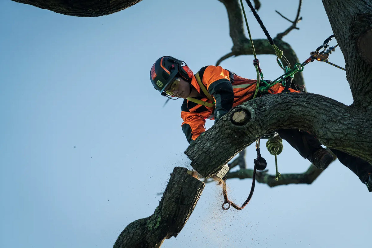 Motosega a Batteria Husqvarna T540i XP® - Tree Climber
