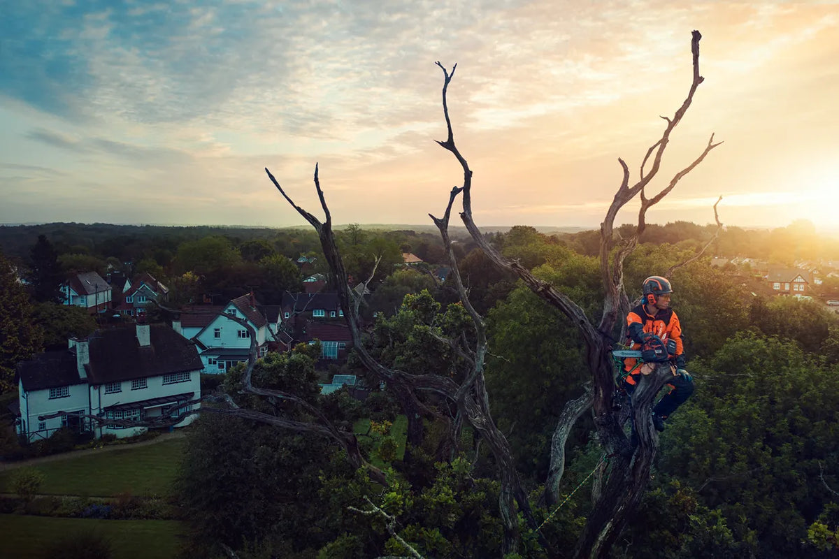 Motosega a Batteria Husqvarna T540i XP® - Tree Climber
