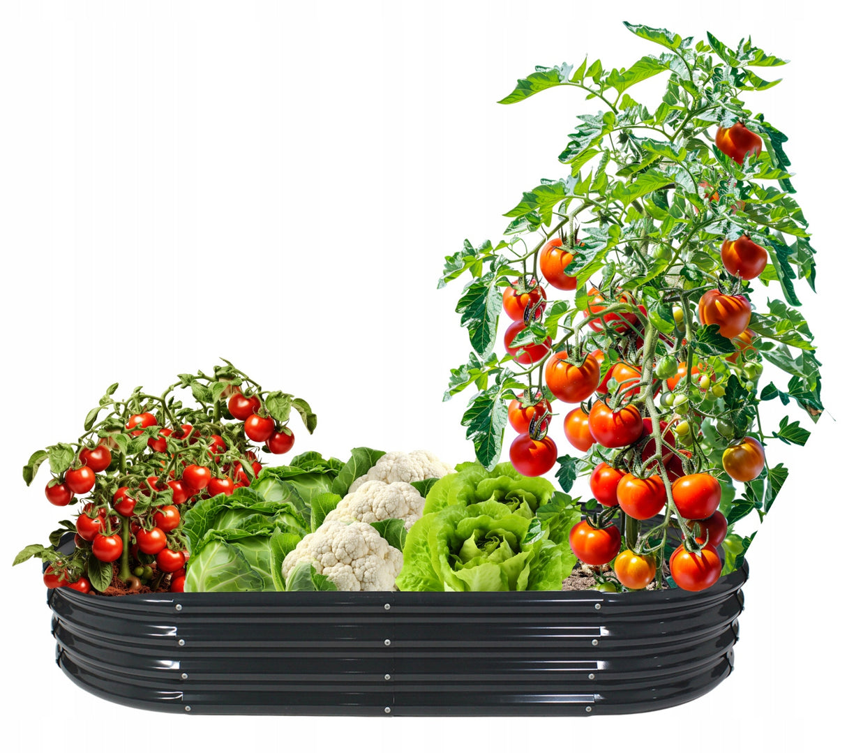 Orto Rialzato da Giardino Ovale 240 x 120 x 30 cm in Acciaio