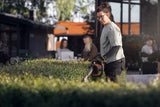 Tagliasiepi a Batteria Husqvarna 522iHD75 - Senza Batteria